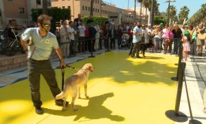 img_37788.jpg