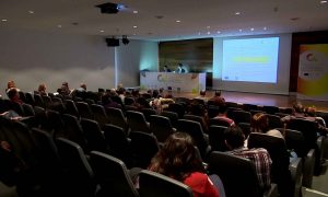 img_08646.jpg