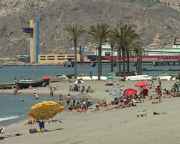 img_124131.jpg
