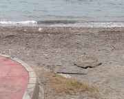 img_127861.jpg