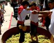 img_130615.jpg