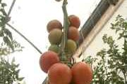 img_138754.jpg