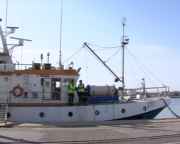 img_213887.jpg