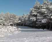 img_217787.jpg