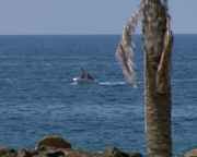 img_227691.jpg