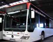 img_254339.jpg