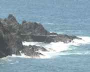 img_38893.jpg