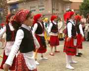 img_41267.jpg