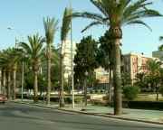 img_54441.jpg
