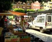 img_98772.jpg