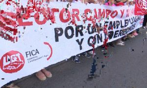 83354ba42d7de7547fa99a7181cb3899img_59610.jpg