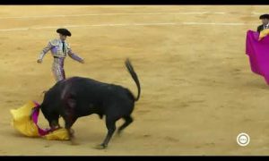 903d59a07d192b8004679d229c92b3a6hqdefault.jpg