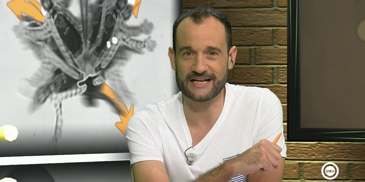 751c5c7a95fe1e0b9e086b958d5588e2maxresdefault.jpg