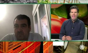18f97922fe9390ad8582cbb0dc7295edmaxresdefault.jpg