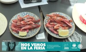 0ef003c9c0b39e7c6a798e88d3f342d2maxresdefault.jpg