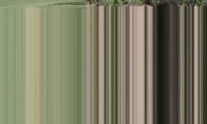 e0661039ef9ed4caa0353e3399981f0dimg_25322.jpg